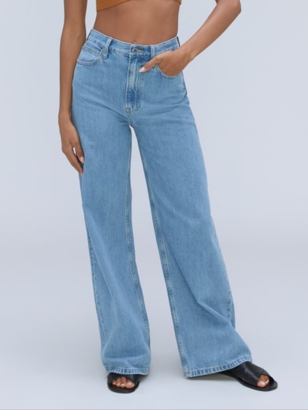 NWT New Everlane The Baggy Jean Low Rise Blue Denim Women's 33 Regular Wide Leg
